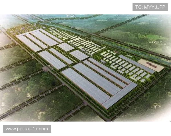 体育科技行业人才标准发布,跨学科能力认证体系建立 体育科技行业人才标准发布,跨学科能力认证体系建立